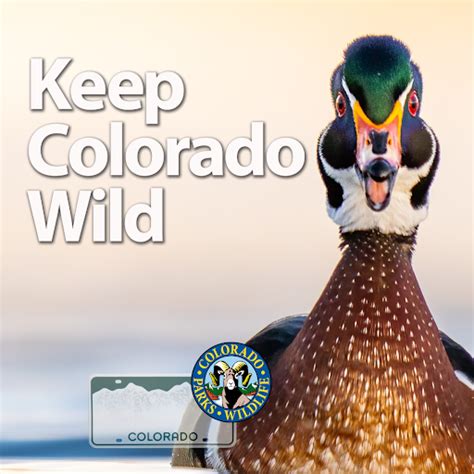 what is kcw pass colorado|Keep Colorado Wild Pass